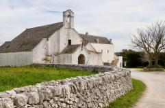 La foto del giorno del 1 aprile 2026