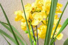 La foto del giorno dell'11 aprile 2026