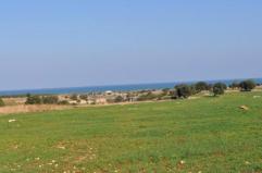 Due Costiere, nell'area dove sorger&agrave; il resort di lusso &laquo;due pesi e due misure&raquo;: &laquo;Agricoltori esclusi dall&rsquo;acquisto dei terreni&raquo;