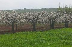 La foto del giorno del 16 aprile 2026