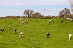 La foto del giorno del 18 aprile 2026