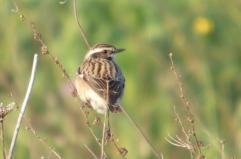 La foto del giorno del 21 aprile 2026