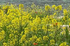 La foto del giorno del 22 aprile 2026