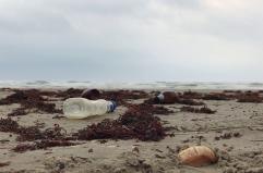 Boom di reati ambientali lungo le coste italiane