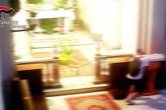 Ruba nelle chiese della Piana di Gioia Tauro, denunciato