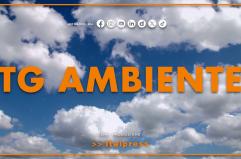 Tg Ambiente - 6/7/2025