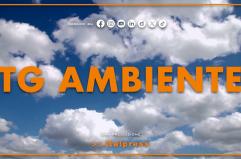 Tg Ambiente - 20/7/2025