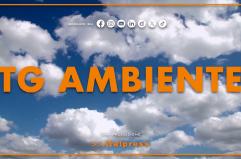 Tg Ambiente - 27/7/2025