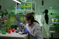 "Agritech Innovation", il futuro del cibo si studia in Toscana