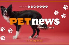 PetNews Magazine - 15/9/2025