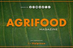 Agrifood Magazine - 20/8/2025