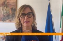 Basilicata, primo studio di telemetria satellitare sulla cicogna nera