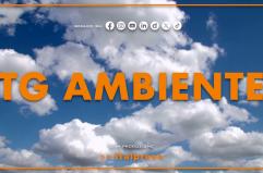 Tg Ambiente - 31/8/2025