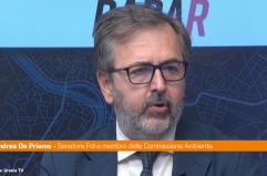 Mobilità, De Priamo "Serve approccio pragmatico alla transizione"