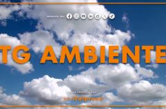 Tg Ambiente - 26/10/2025 Tg Ambiente - 26/10/2025