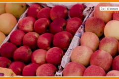 Sorsi di Benessere - Un condimento estivo e fruttato