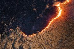 2025, anno nero per le foreste italiane 2025, anno nero per le foreste italiane