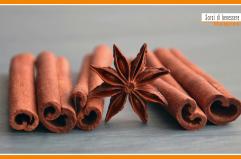 Sorsi di Benessere - Autunno in vista? Rimettiamoci in forma