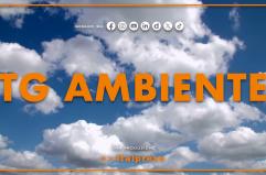 Tg Ambiente - 2/11/2025