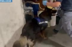 Arrestato spacciatore catanese con 4,5 kg di droga nascosta in garage