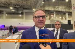 Vinitaly.USA, Lollobrigida "Spazi di crescita enormi"