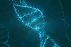 Cardiomiopatie, identificato gene finora sconosciuto