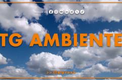 Tg Ambiente - 14/9/2025