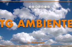 Tg Ambiente - 21/9/2025