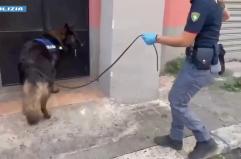 16enne arrestato a Catania, in cantina nascondeva droga e fucile a canne mozze