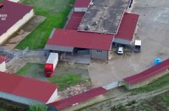 Macellazione clandestina di cavalli, un arresto e 5 denunce nel Crotonese