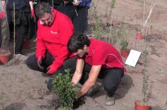 TIM pianta 400 nuovi alberi a Roma per contribuire al miglioramento urbano