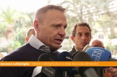 Lollobrigida "Da governo 50 mln a terzo settore per garantire aiuti alimentari"