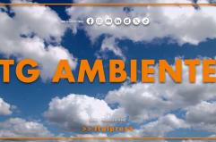 Tg Ambiente - 16/11/2025