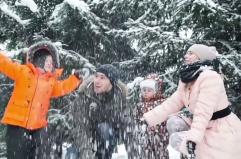 Ponte dell'Immacolata, 14 milioni di italiani in viaggio