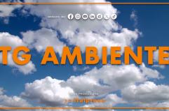 Tg Ambiente - 5/10/2025