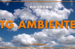 Tg Ambiente - 14/12/2025