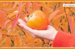 Sorsi di Benessere - Uno smoothie ideale per la mattina