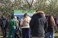 A Marcianise svolta green Haiki Metals, Pietro Colucci "10 mln di investimenti"