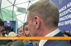 Cucina italiana, Lollobrigida "Con riconoscimento Unesco dati positivi"