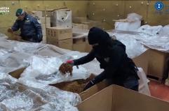 Scoperti due stabilimenti per la produzione illecita di tabacchi nel Lazio
