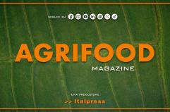 Agrifood Magazine - 12/11/2025