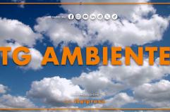 Tg Ambiente - 21/12/2025