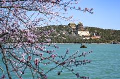 Villa d&rsquo;Este, una mostra celebra partenariato siti patrimonio Unesco Cina-Italia