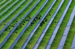 Cina, nel Sichuan attivato importante progetto fotovoltaico ad alta quota