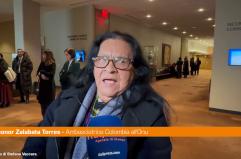 Onu, l'ambasciatrice della Colombia "Siamo qui per la pace"