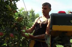 Ue, per l'agricoltura italiana 10 miliardi in pi&ugrave;