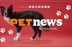 PetNews Magazine - 19/1/2026