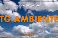 Tg Ambiente - 25/1/2026