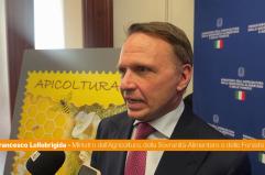 Maltempo, Lollobrigida "Governo attento e rapido nell'intervento"