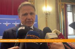 Agroalimentare, Lollobrigida "Cabina di regia sui controlli esempio per l'Ue"